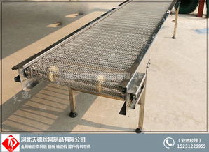 碳鋼網帶輸送機公司 食品轉彎機 增城網帶輸送機